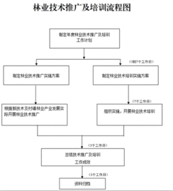 創新林業技術推廣培訓，助力林業現代化發展