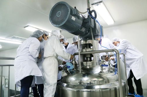 國(guó)際技術(shù)專家齊聚爾康，共商淀粉膠囊技術(shù)應(yīng)用與推廣新藍(lán)圖